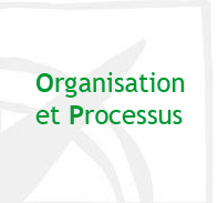 Organisation et processus